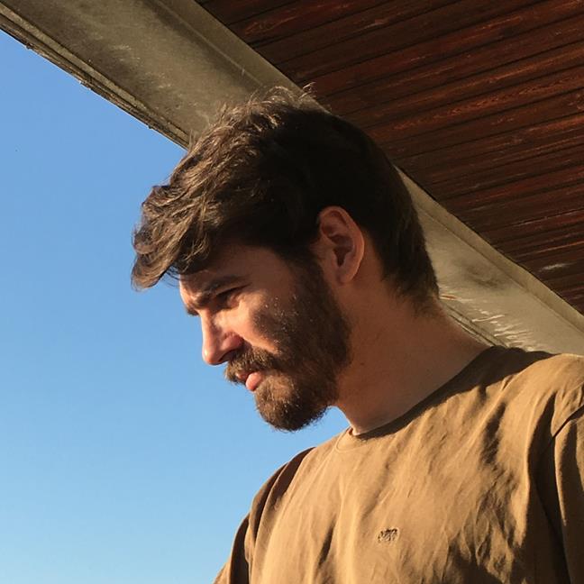 Petar Veselinović